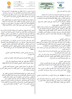 https://demo.zulekhahospitals.com/uploads/leaflets_cover/13Epidural-Analgesia-for-Painless-Labor-Educational-Leaflet-Arabic.jpg