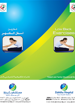 https://demo.zulekhahospitals.com/uploads/leaflets_cover/26Low-Back.jpg