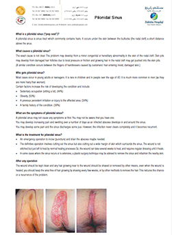 https://demo.zulekhahospitals.com/uploads/leaflets_cover/31pilonidal-sinus.jpg
