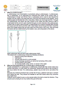 https://demo.zulekhahospitals.com/uploads/leaflets_cover/32Ureteroscopy.jpg